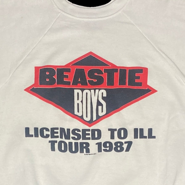 新作揃え 【激レア】古着 BEASTIE HOODIE BOYS パーカー